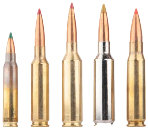 Rifle Ammo