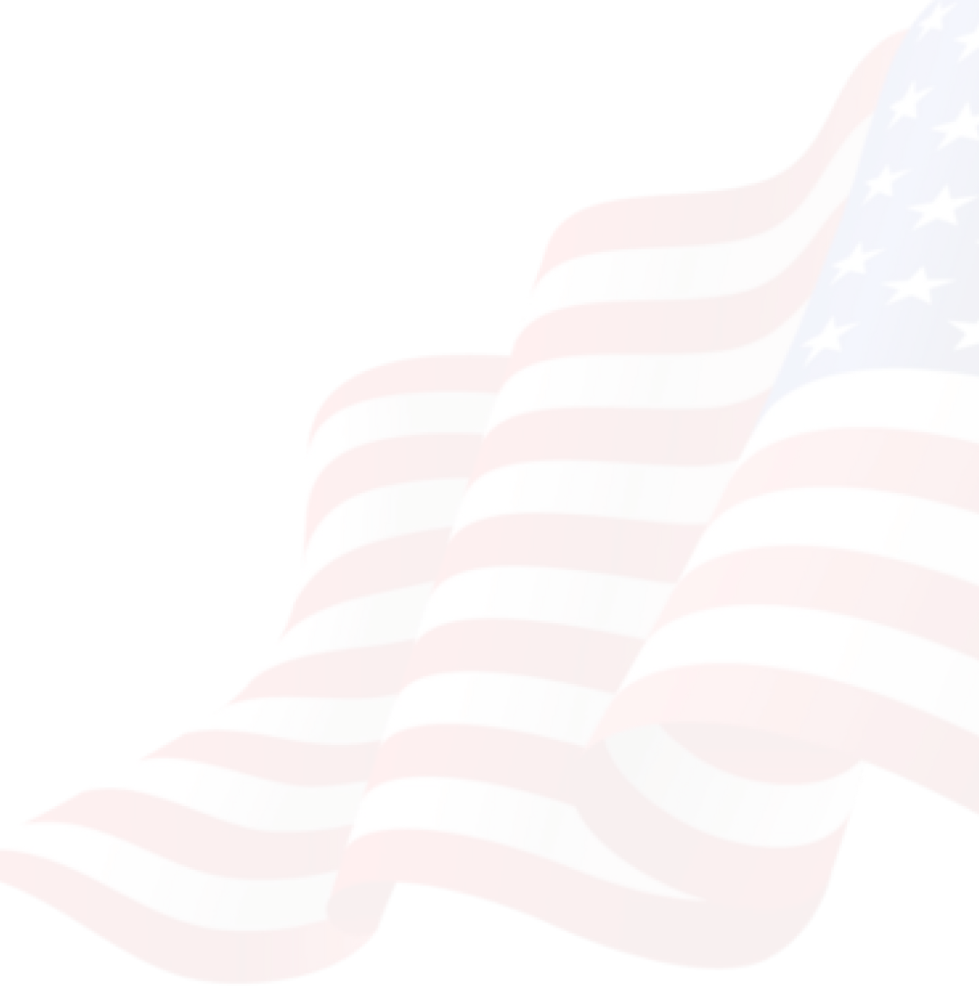 USA Flag