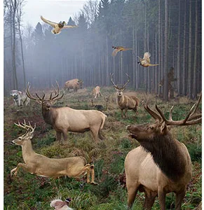 Action Target GSBIGHUNT100 Entertainment  Animals Paper Hanging 23" x 35" 100 Per Box