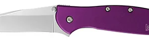 Kershaw 1660PUR Leek  3" Folding Drop Point Plain Bead Blasted 14C28N Steel Blade Purple Anodized Aluminum Handle Includes Pocket Clip