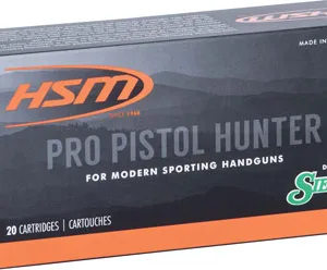 HSM PRO PISTOL 460 SW 300GR