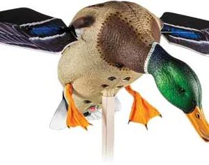 AVIAN X POWERFLIGHT SPINNING