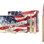 A picture of HO80591 with USA Gun Store