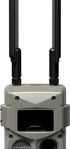 CUDDEBACK TRAIL CAM TRACKS