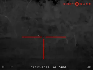 A picture of SM17001 TTD ZOOM 2X with USA Gun Store