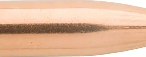 Sierra 1530 GameKing  6mm .243 85 gr Hollow Point Boat Tail/ 100 Per Box