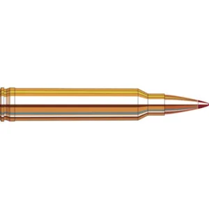 Ammo Precision Hunter .300 WIN MAG 178 GR ELD-X 20 RD Box