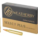 A picture of WYH300200ELDX 1 with USA Gun Store