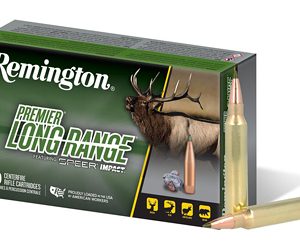 REM SPEER IMPACT 300WIN 190GR 20/200