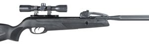 Gamo 6110068754 Swarm Whisper Gas Piston 177 10 Shot Fluted Polymer Jacketed Rifled Steel Barrel w/Whisper Noise Dampening, Non-Slip Textured All Weather Stock & Forearm Includes Gamo 4x32mm Scope