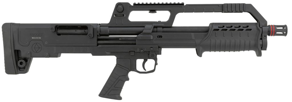 A picture of 165423 with USA Gun Store
