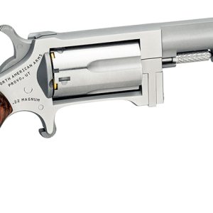 Mini-Rev Sidewinder 22Mag 2.5" S