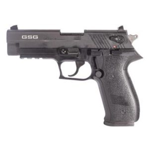 A picture of ATI20GERG2210FF with USA Gun Store