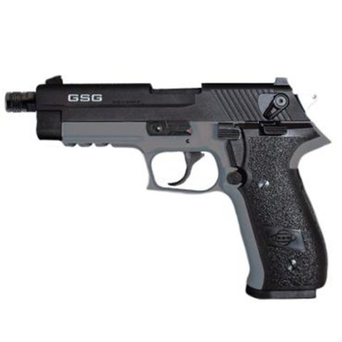 A picture of ATI20GERG2210TFFS with USA Gun Store