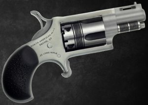 A picture of NONAA22LRTW with USA Gun Store
