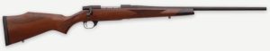 A picture of WBY20VDT223RR4T with USA Gun Store