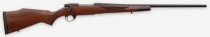 A picture of WBY20VDT300WR4T with USA Gun Store