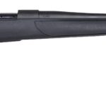 A picture of WBY20VTX300WR4T with USA Gun Store