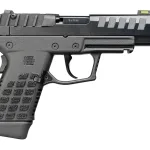 A picture of p15blk 1 150x150 jpg with USA Gun Store