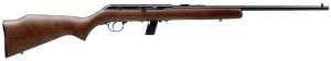 A picture of 22386 with USA Gun Store