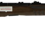 A picture of 53097 with USA Gun Store