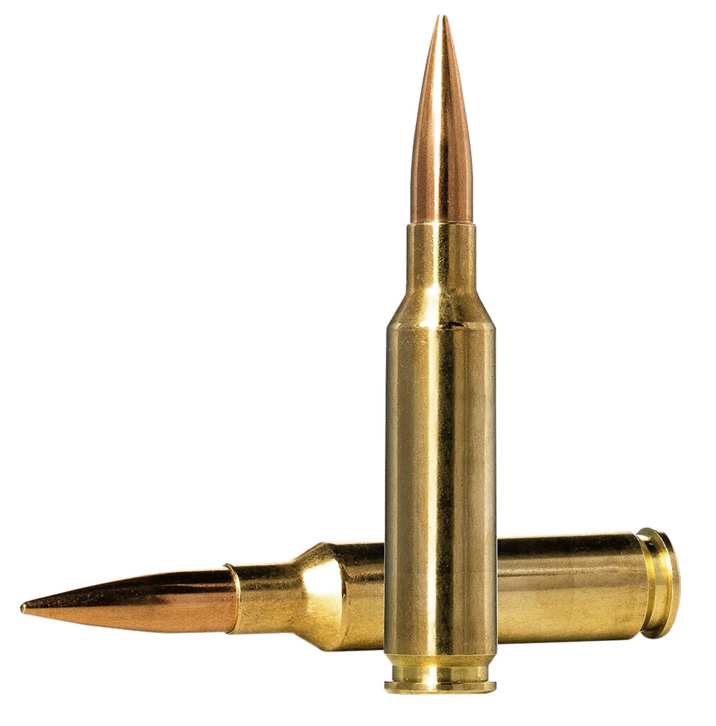 A picture of 109038 with USA Gun Store