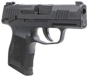 A picture of 154487 with USA Gun Store