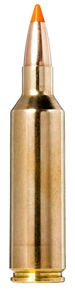 A picture of 164624 with USA Gun Store
