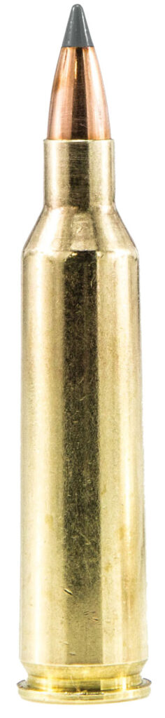 A picture of 23481 with USA Gun Store
