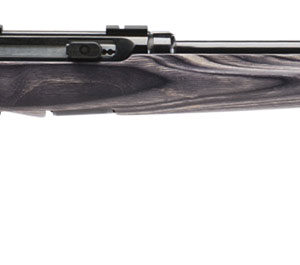 Savage Arms 47006 A17 Target Sporter Full Size Semi-Auto 17 HMR 10+1 22" Black Heavy/Target Barrel, Black Steel Receiver, Gray Laminate Stock