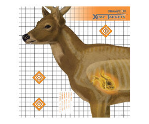 CHAMPION DEER X-RAY TARGET 6/PK