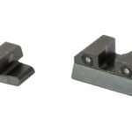 A picture of XSHK R201P 6G 1 with USA Gun Store