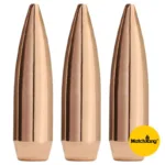 A picture of https3A2F2Fmedia.chattanoogashooting.com2Fimages2Fproduct2FSI2200C2Fsierra matchking rifle bullets 500 ct 30 cal 308 168 gr hpbt si2200c 150x150 jpg with USA Gun Store