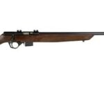 A picture of rb22maa38 with USA Gun Store