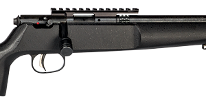 SAVAGE ARMS RASCAL TARGET 22LR CMPT BLACK