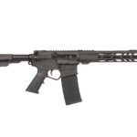 A picture of ws10300sbblk7401 with USA Gun Store