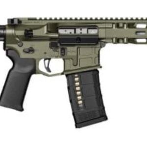 Model 1 9" 300 OD Pist Radian OD