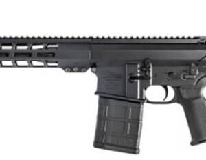 AM-10 BATTLE RIFLE 16" .308 Win Blk 20RD