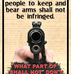A picture of 1528Z with USA Gun Store