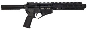 A picture of 301229 1 with USA Gun Store