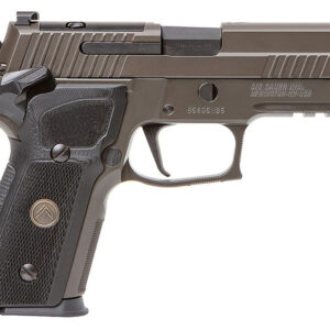 P229 Legion 9MM 3.9" Grey NS/XRay3 10rd