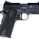 A picture of ATI20GERG2210GSG9CA with USA Gun Store