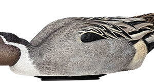 AVIAN X POWER SHAKER PINTAIL - SURFACE FEEDER DECOY