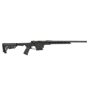 A picture of LSI20HMXL65GB with USA Gun Store