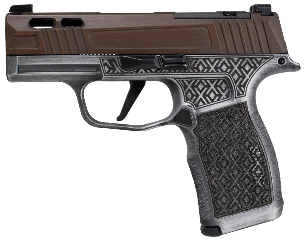 A picture of SIG20300174041003 with USA Gun Store