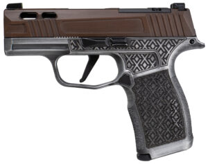 A picture of SIG20300174041003 with USA Gun Store