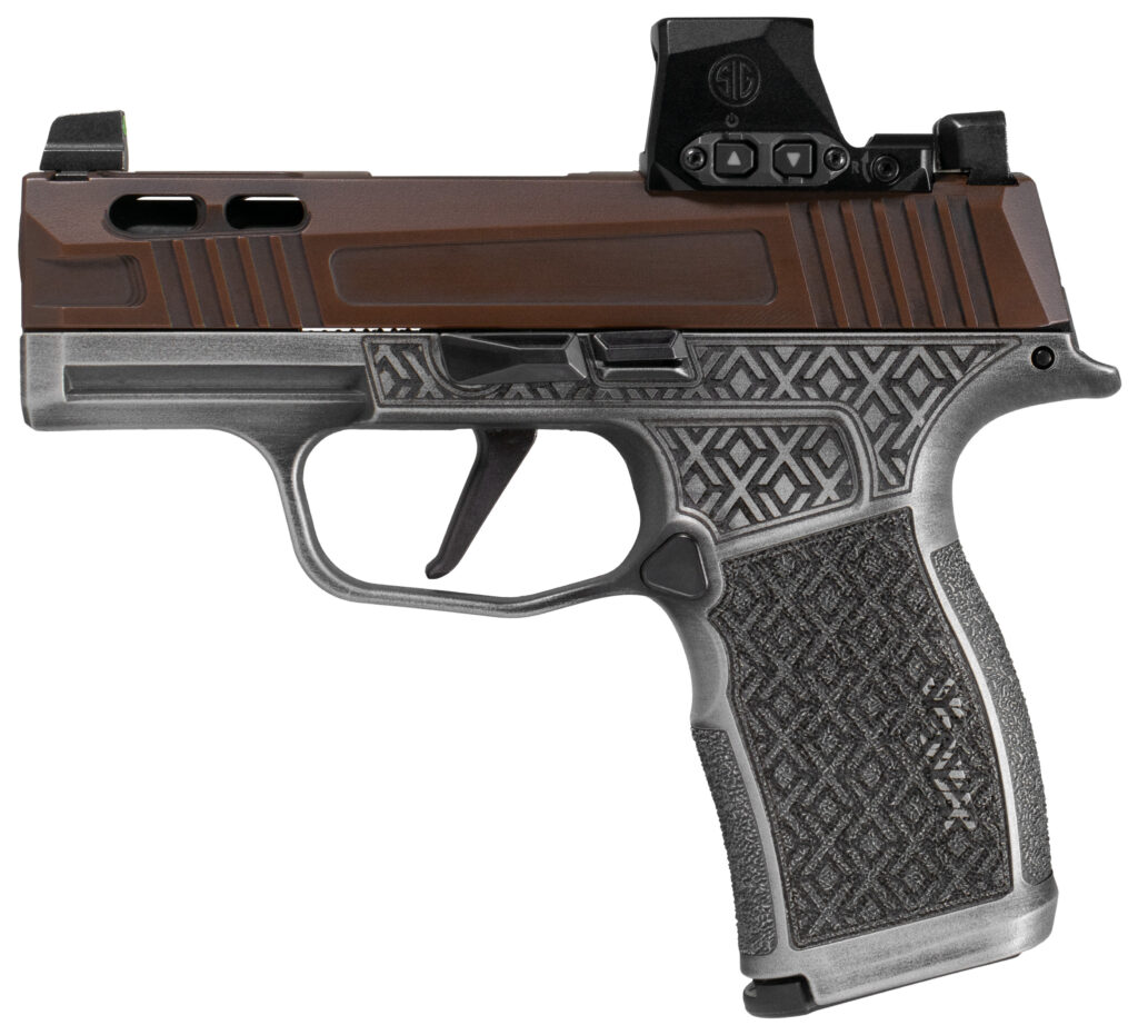 A picture of SIG20300174041303 with USA Gun Store