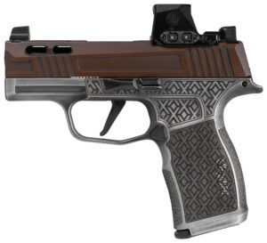A picture of SIG20300174041303 with USA Gun Store