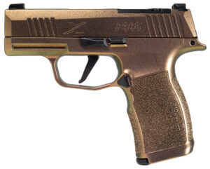 A picture of SIG20300229041056 with USA Gun Store