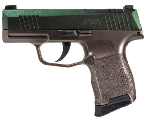 A picture of SIG20300231040020 with USA Gun Store
